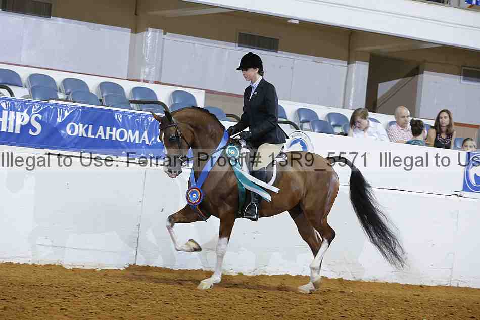 Proof 13r9_5571