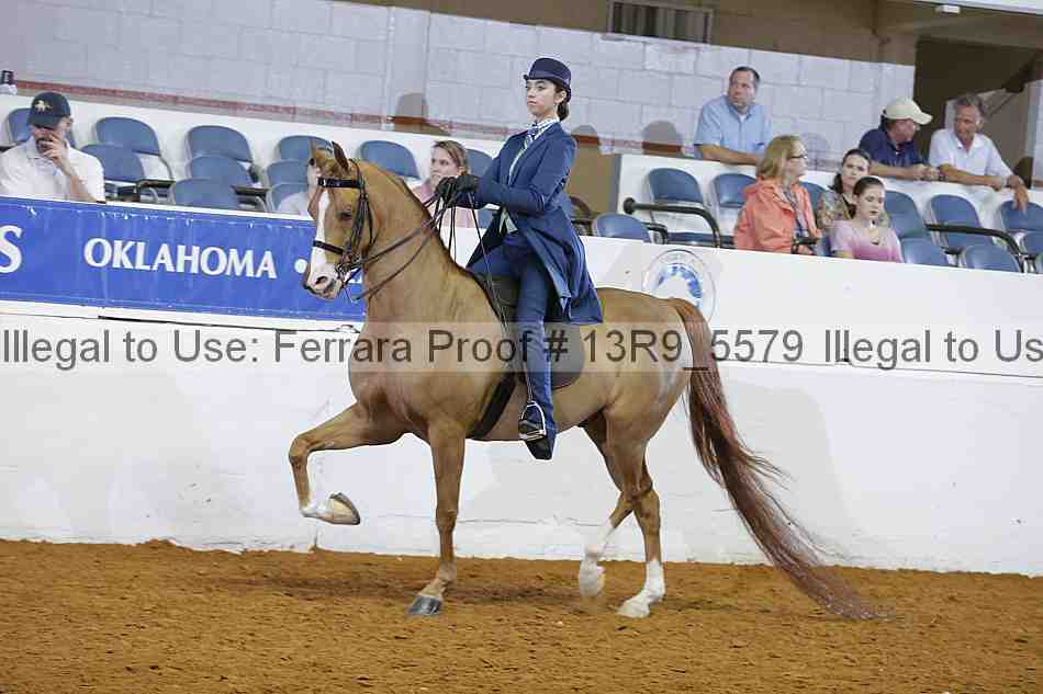 Proof 13r9_5579
