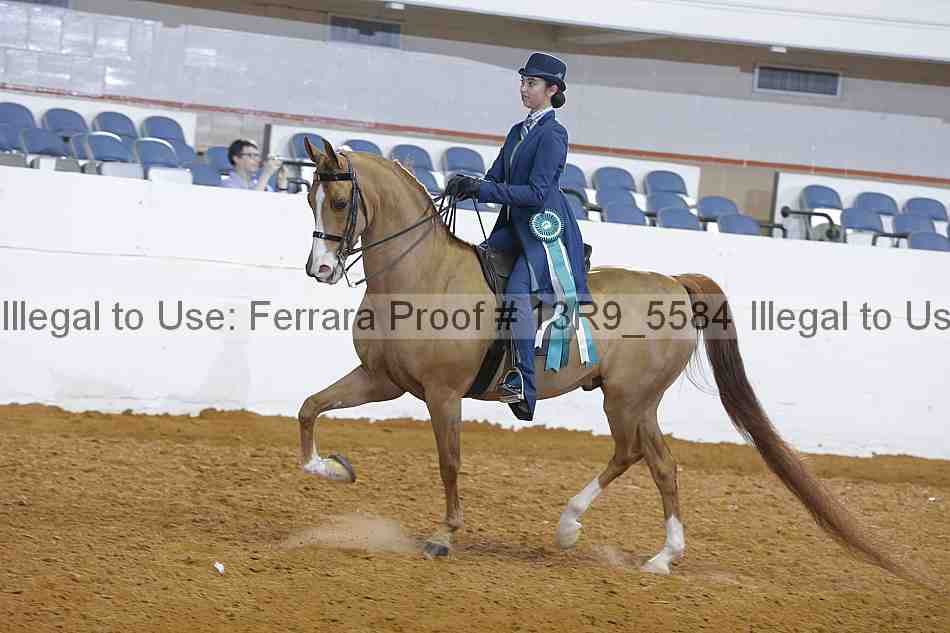 Proof 13r9_5584