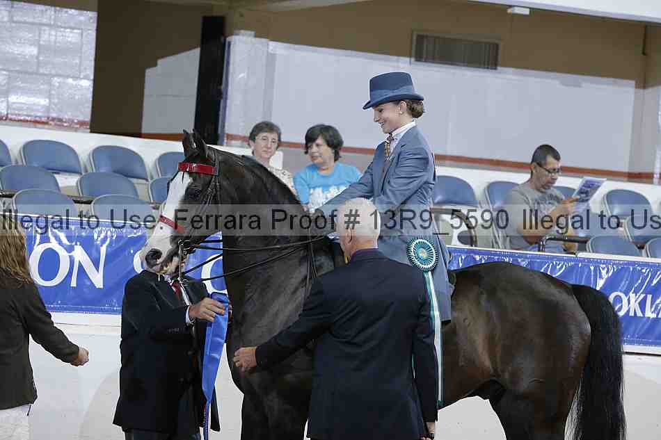 Proof 13r9_5590