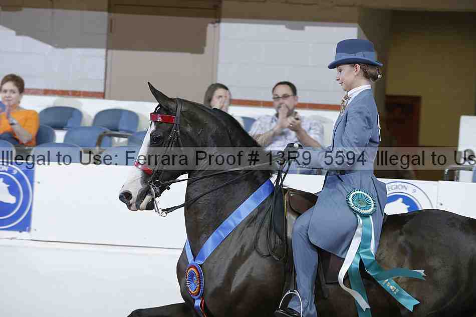 Proof 13r9_5594
