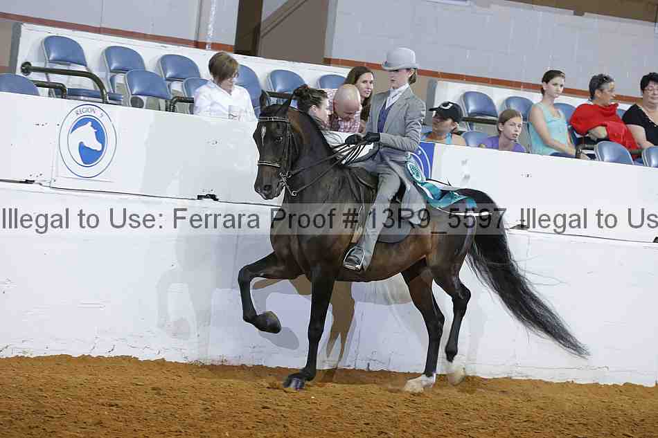 Proof 13r9_5597