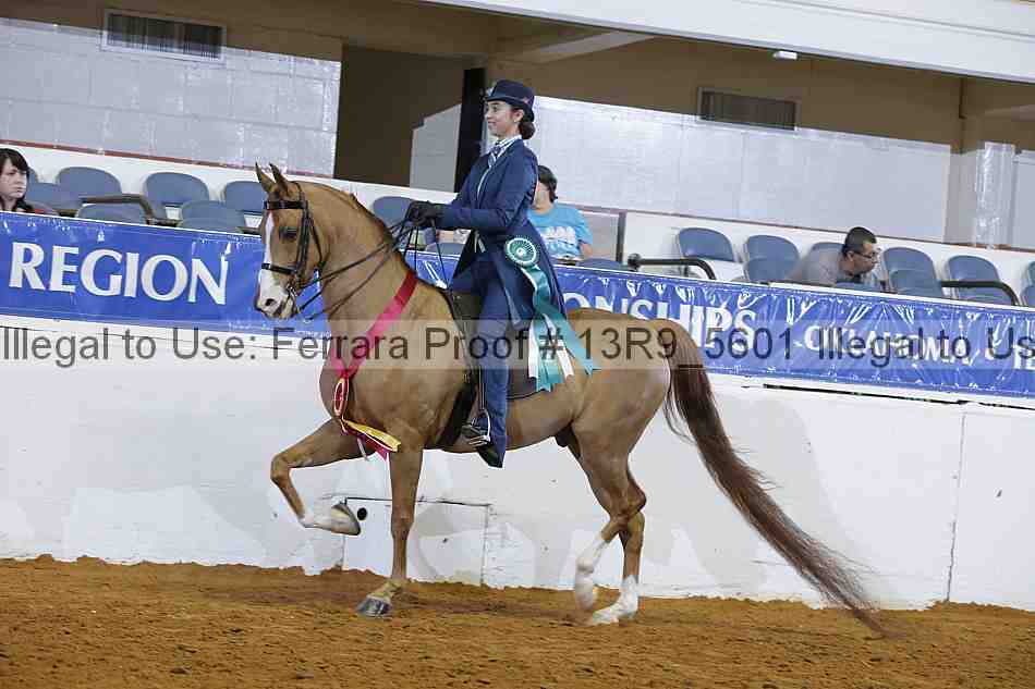 Proof 13r9_5601