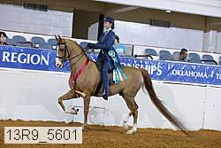 13r9_5601 proof