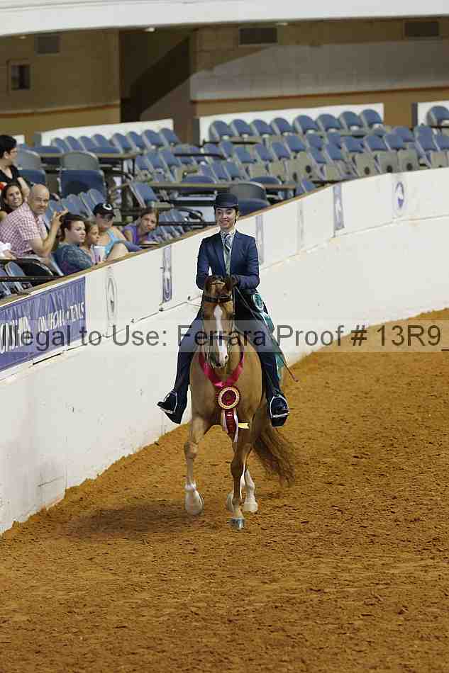Proof 13r9_5602