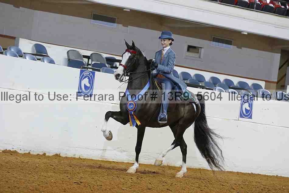 Proof 13r9_5604