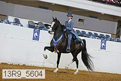 13r9_5604 proof