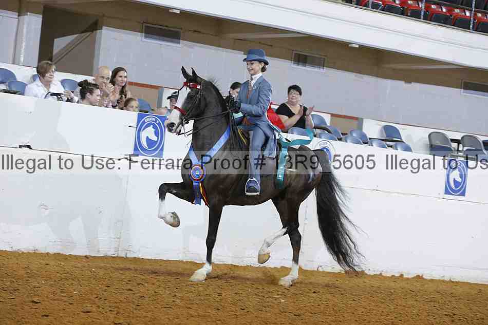 Proof 13r9_5605