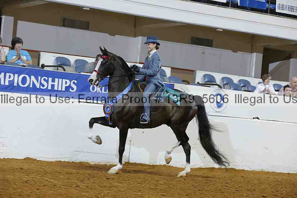 Proof 13r9_5606