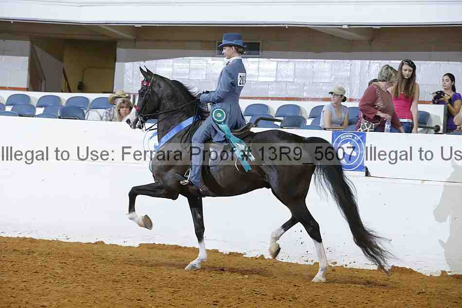 Proof 13r9_5607
