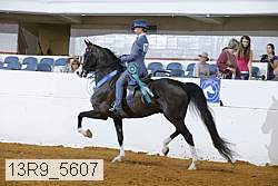 13r9_5607 proof