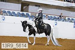 13r9_5614 proof