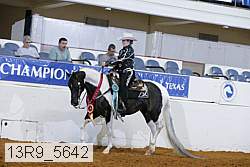 13r9_5642 proof