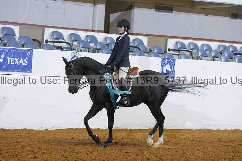 Proof 13r9_5737
