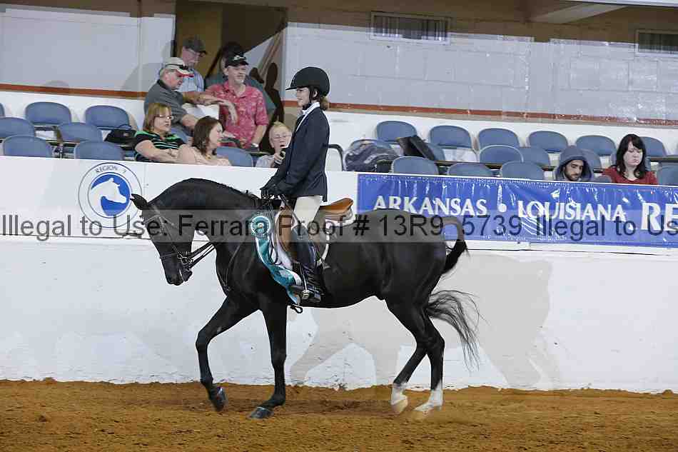 Proof 13r9_5739