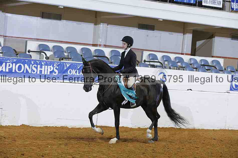 Proof 13r9_5795