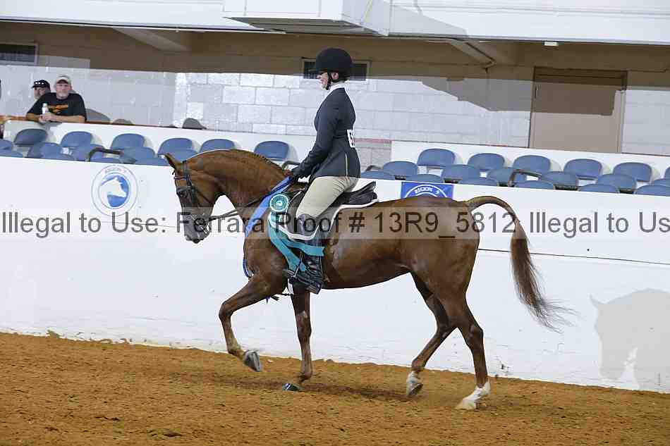 Proof 13r9_5812