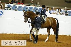 13r9_5931 proof