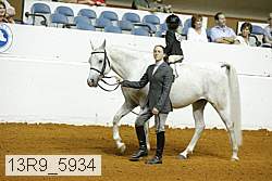 13r9_5934 proof