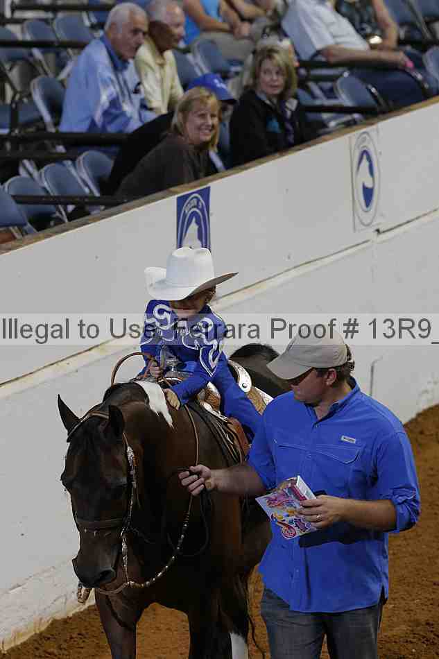 Proof 13r9_6015