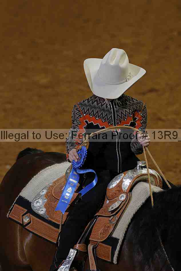 Proof 13r9_6025