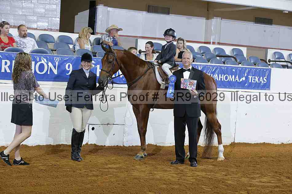 Proof 13r9_6029