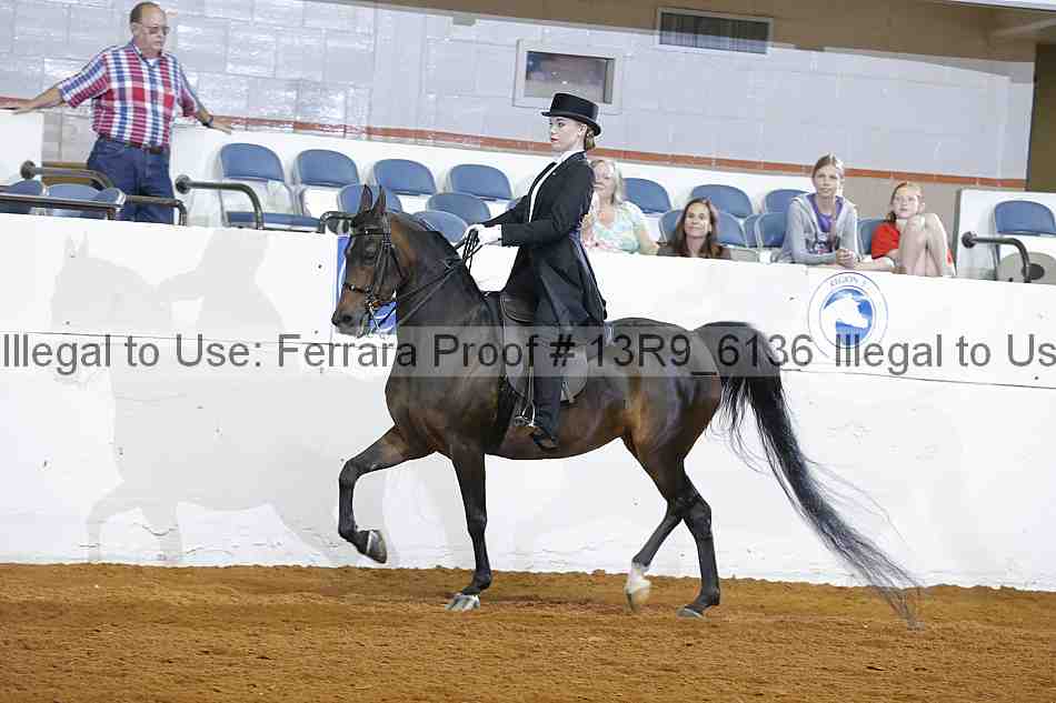 Proof 13r9_6136