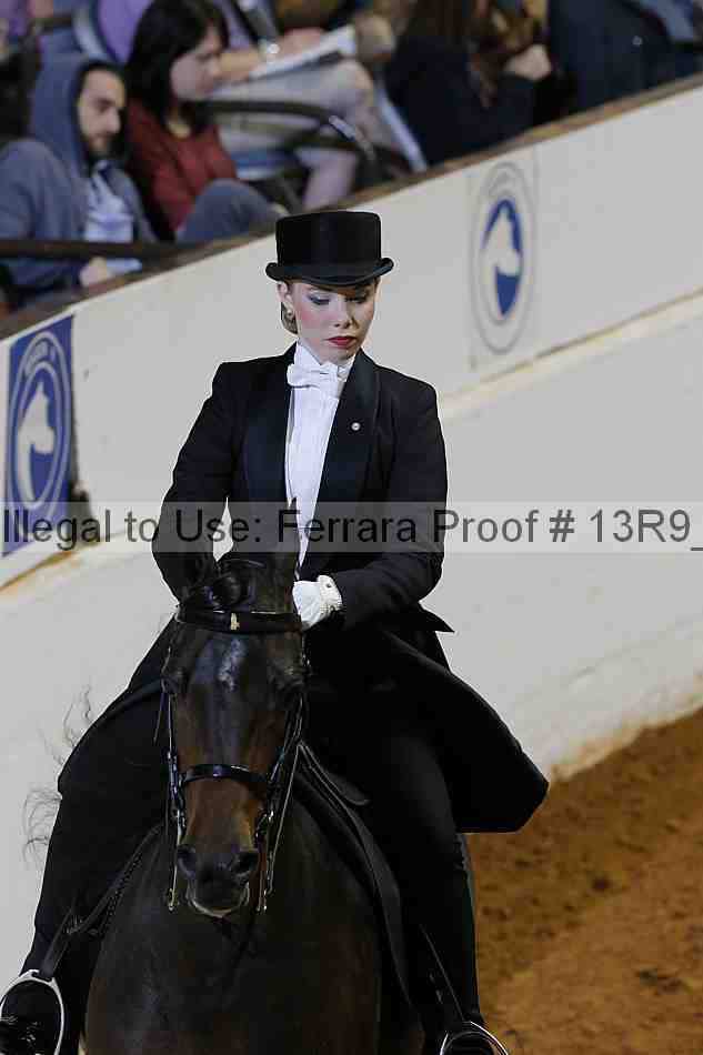 Proof 13r9_6137