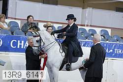 13r9_6141 proof