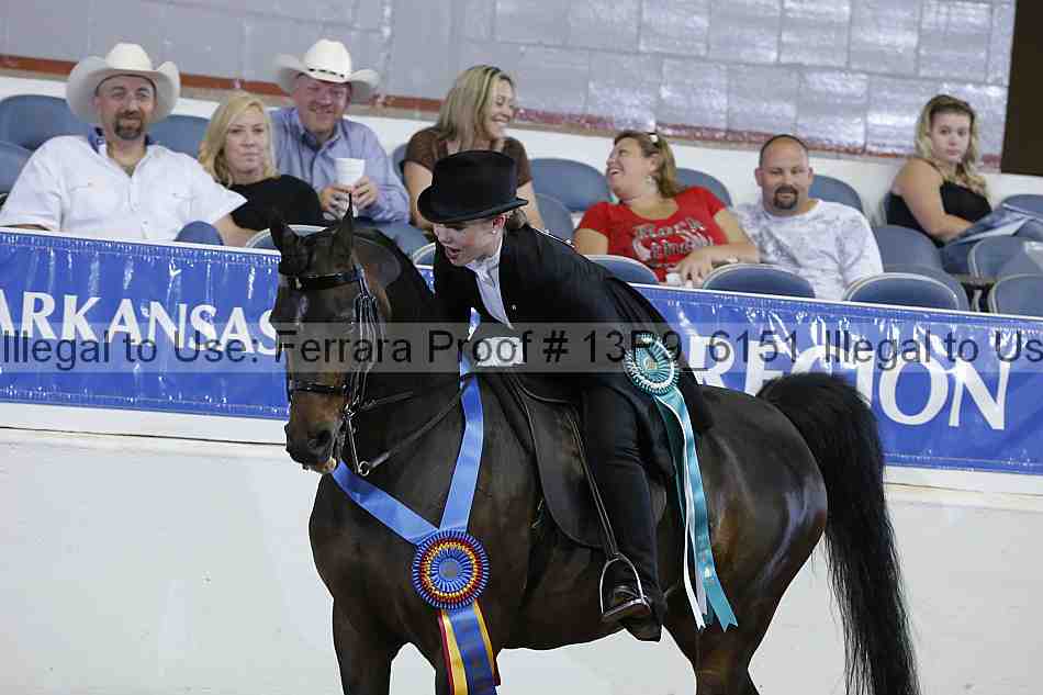 Proof 13r9_6151