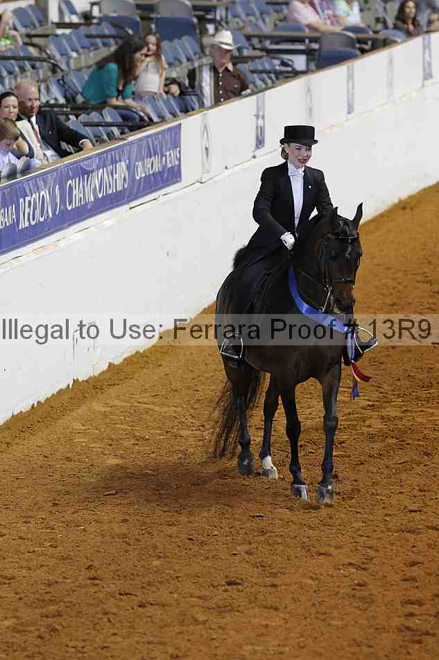 Proof 13r9_6153