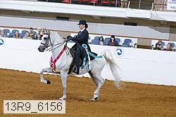 13r9_6156 proof