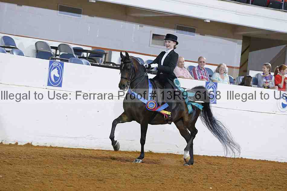 Proof 13r9_6158