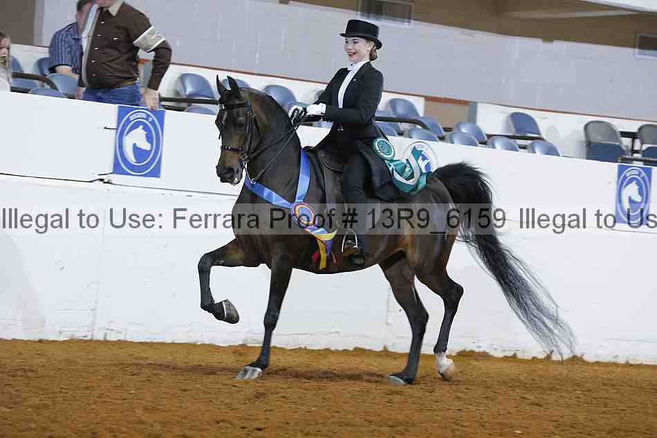 Proof 13r9_6159