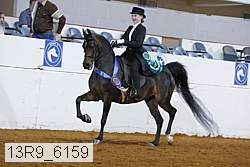 13r9_6159 proof