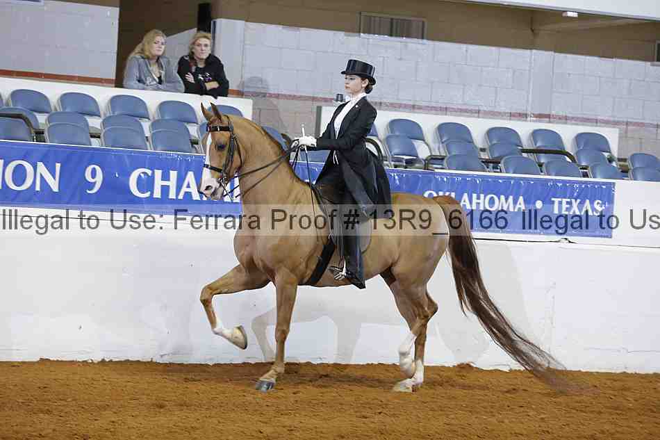 Proof 13r9_6166