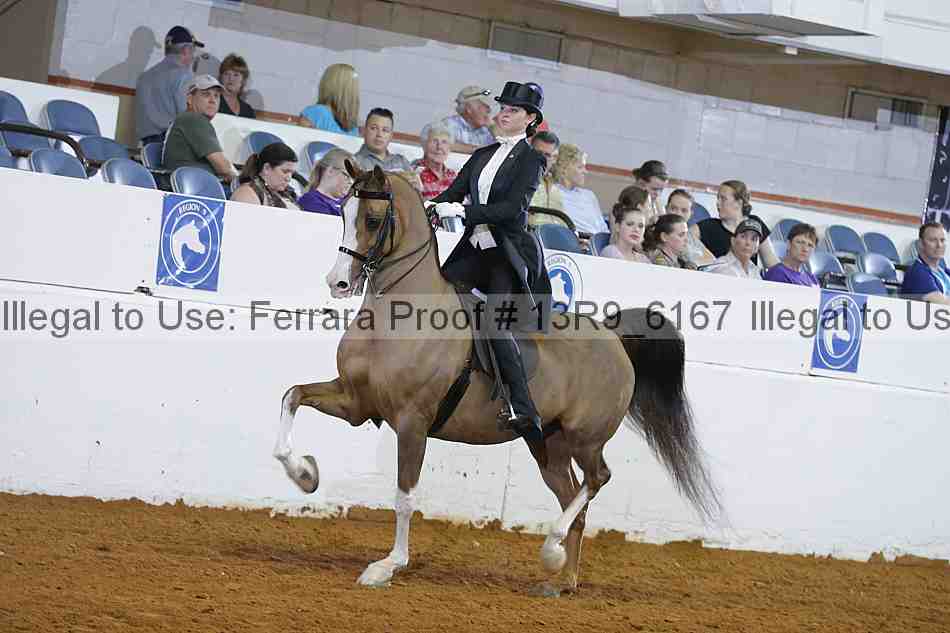 Proof 13r9_6167