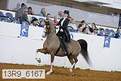 13r9_6167 proof