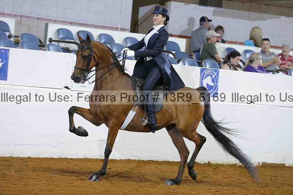 Proof 13r9_6169