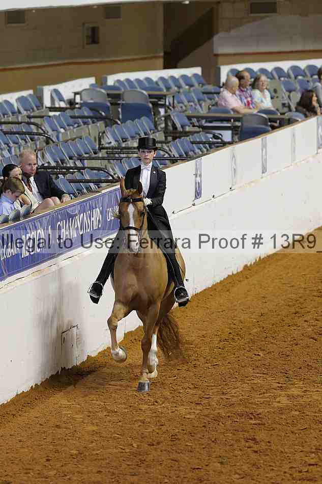 Proof 13r9_6170