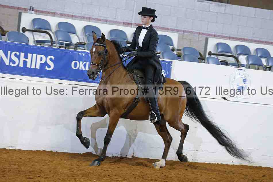 Proof 13r9_6172