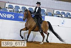 13r9_6172 proof
