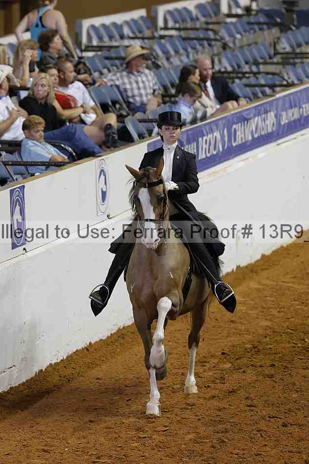 Proof 13r9_6173