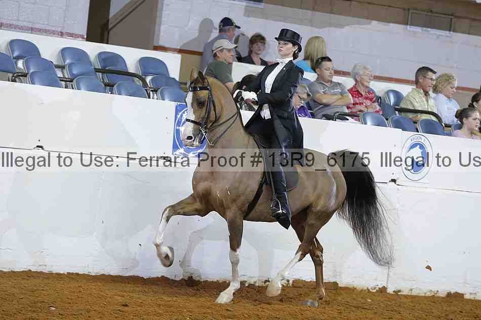 Proof 13r9_6175