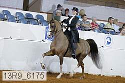 13r9_6175 proof