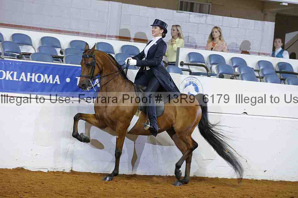 Proof 13r9_6179