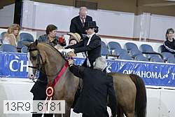13r9_6181 proof