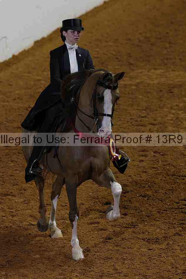 Proof 13r9_6186