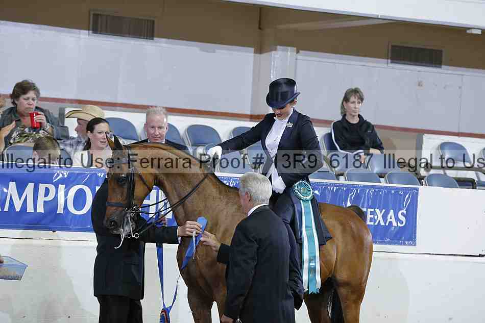 Proof 13r9_6187