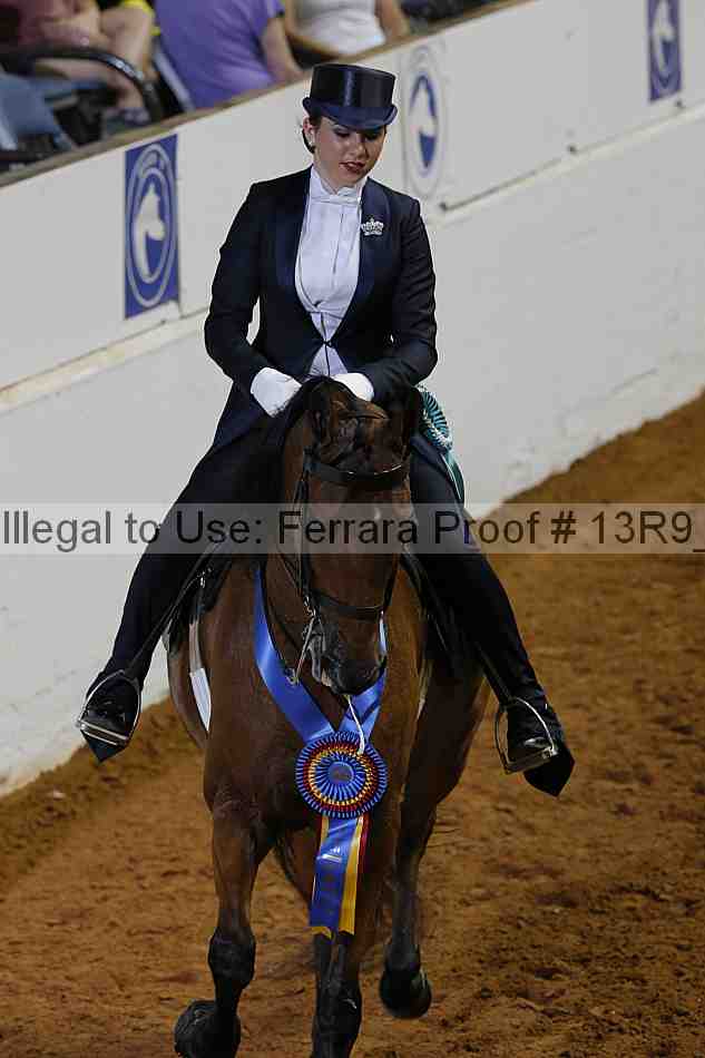 Proof 13r9_6196
